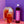Laden Sie das Bild in den Galerie-Viewer, Singapore Sling Cocktail 3er Bundle 500ml